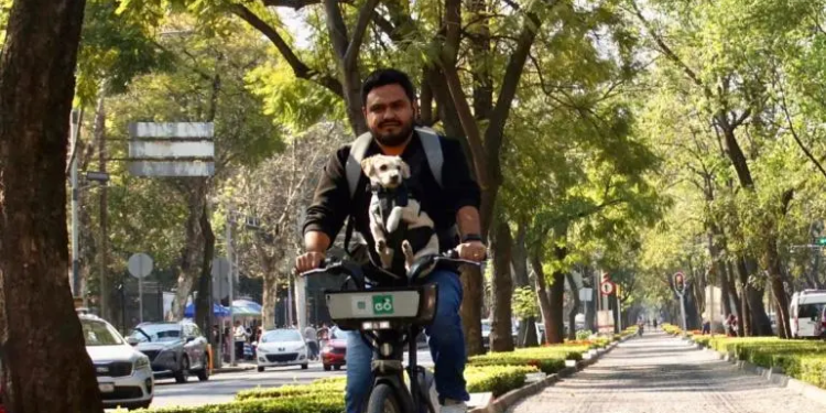 En 2024 hubo más 22 millones de viajes de Ecobici