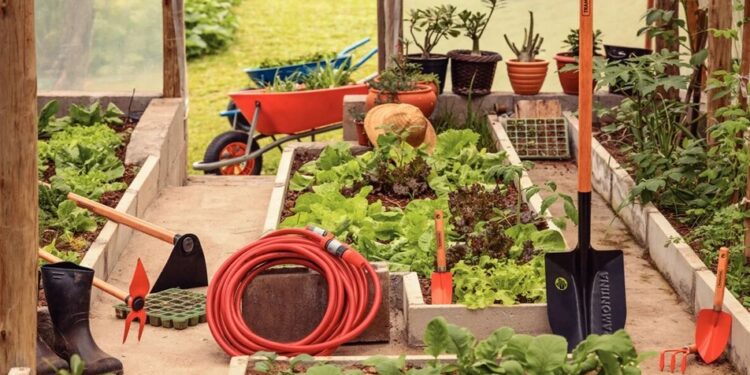 Tramontina se adapta a nuevas tendencias globales de consumo