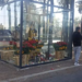 En febrero volvería a instalarse en CDMX el altar satánico y de la Santa Muerte