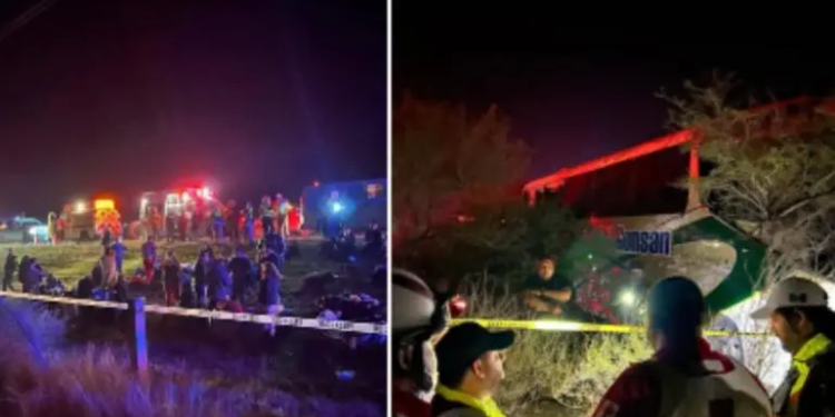 Autobús choca contra tráiler en Tamaulipas; hay dos muertos