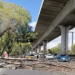 Caída de árbol por vientos fuertes afecta tránsito en Periférico Sur