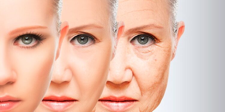 Científicos chinos logran revertir el envejecimiento