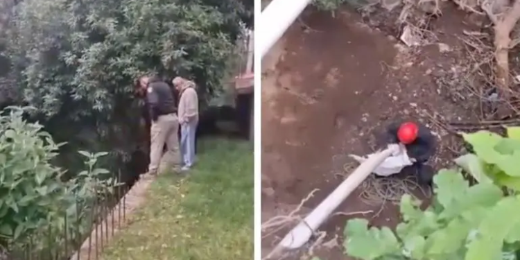 Policías salvan a dos cachorros de una barranca en Álvaro Obregón