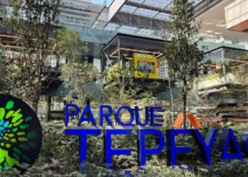Evacúan a más de 50 personas por flamazo en restaurante de Parque Tepeyac