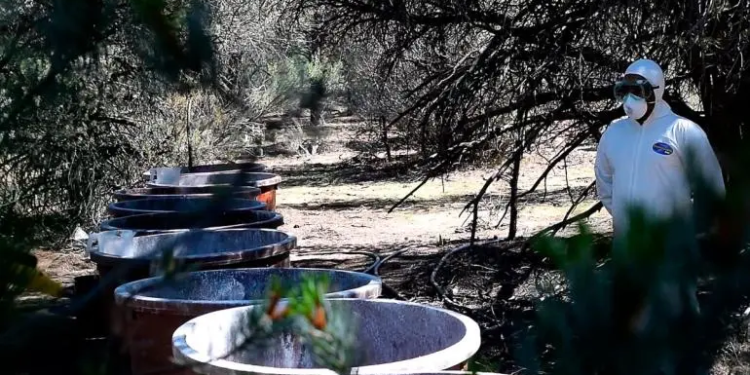 Marina desmantela dos narcolaboratorios en Sinaloa