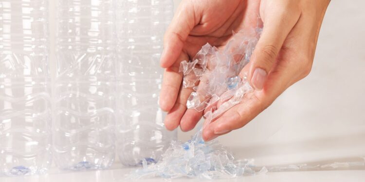 Microplásticos: un micromundo digno de estudio