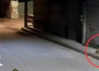 Liberan a sujeto que lanzó una piedra al perrito ‘Huesitos’ en Puebla; solo pagó multa