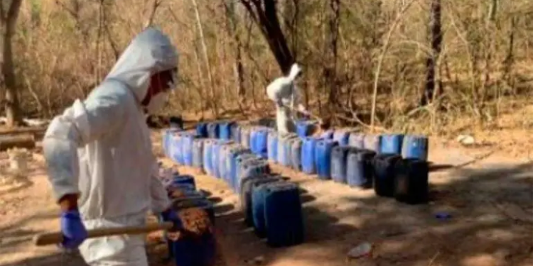 Aseguran 12 ‘narcolaboratorios’ en tres municipios de Sinaloa