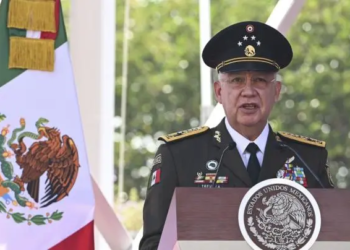 Aún no descartamos espionaje aéreo de EU, dice Trevilla Trejo