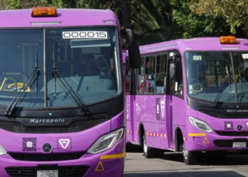 Invertirá Semovi 111 mdp para sustituir microbuses en GAM y Xochimilco