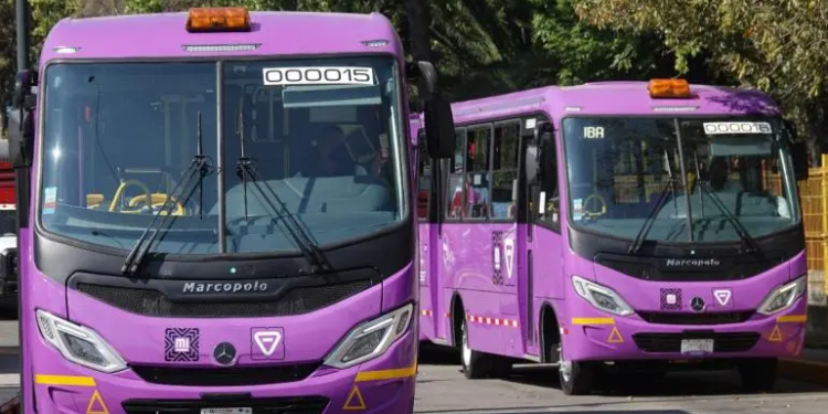 Invertirá Semovi 111 mdp para sustituir microbuses en GAM y Xochimilco