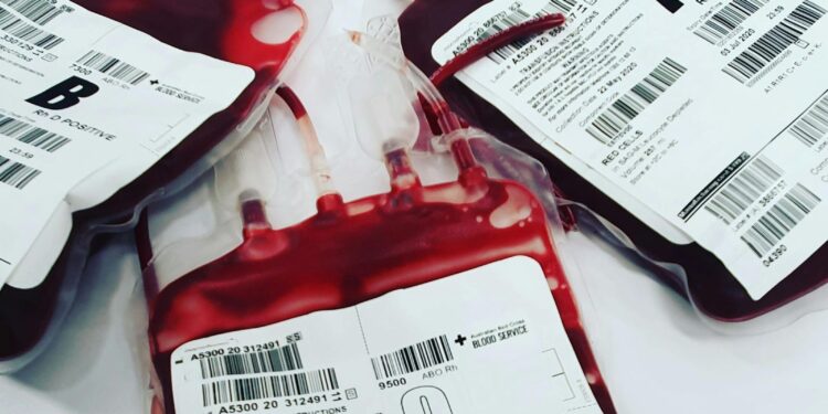 Edomex adjudica contrato millonario a empresa ligada al Cártel de la Sangre