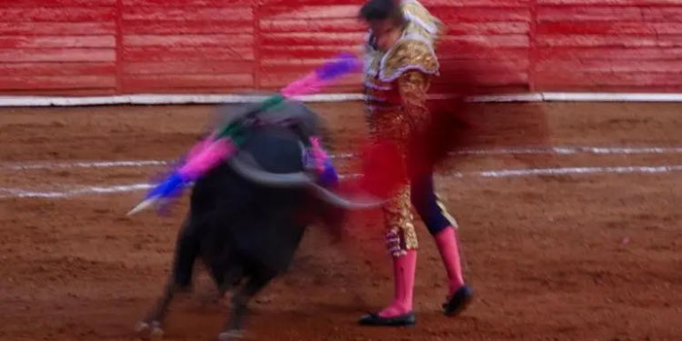 Sector taurino pide diálogo ante propuesta de corridas de toros ‘sin violencia’