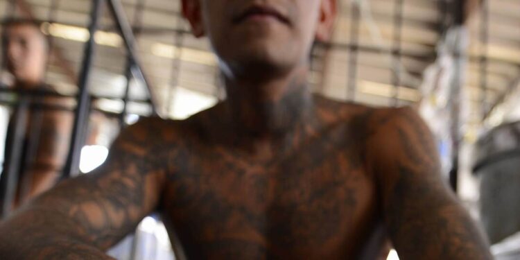 ‘Cacería’ contra cárteles: detienen a líder de la Mara Salvatrucha en EU