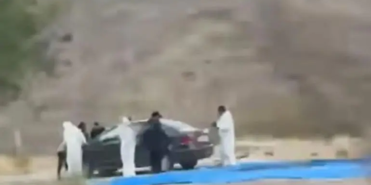 Localizan nueve cuerpos descuartizados en límites de Oaxaca y Puebla