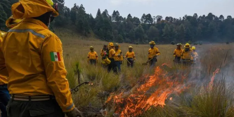 Realizan quema controlada en Edomex previo a temporada de incendios forestales