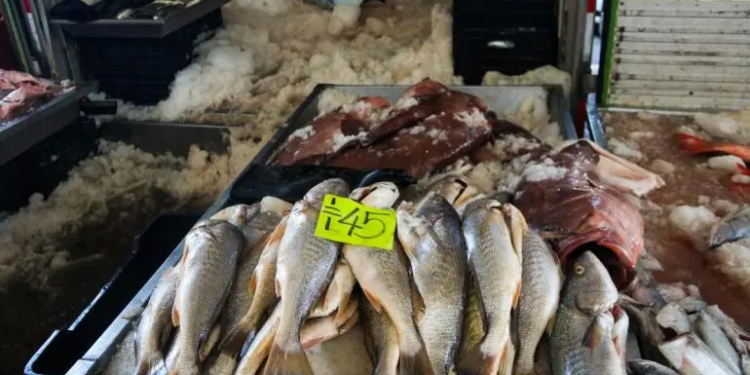 Sedeco estima en CDMX una derrama económica de mil 697 mdp Cuaresma 2025