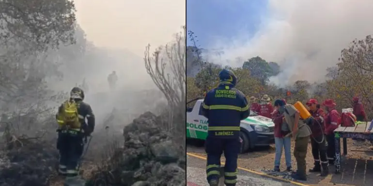 Controlan incendio en el Parque Ecológico de la CDMX, en Tlalpan
