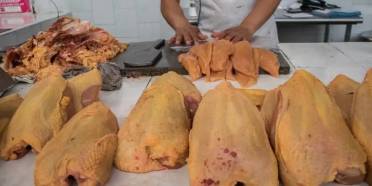Comer pollo o huevo no representa peligro de contagio de influenza aviar: Ssa