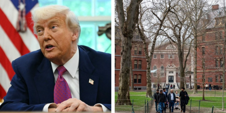EE. UU. cancelará todos sus contratos con Harvard, anuncia gobierno de Trump