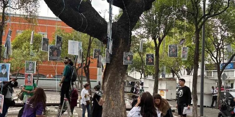Madres buscadoras instalan El Árbol de la Esperanza en CDMX