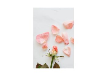 Presentan suplemento natural para la salud física y mental durante la menopausia