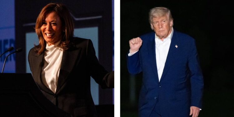 Trump exige una “gran investigación” a artistas que apoyaron a Kamala Harris