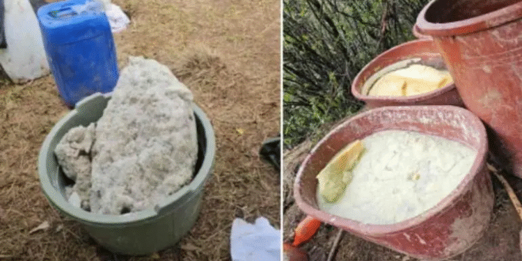 Aseguran narcolaboratorio en Otzolotepec, Edomex