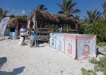 52 años de acción global y 23 años de compromiso activo de ECOCE con México