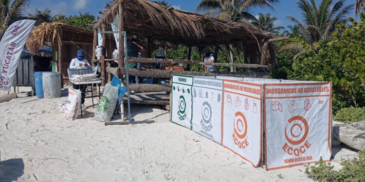 52 años de acción global y 23 años de compromiso activo de ECOCE con México