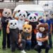 Asaltan al grupo musical veracruzano «Los Cumbiosos» en carretera en Puebla; les robaron todos sus instrumentos