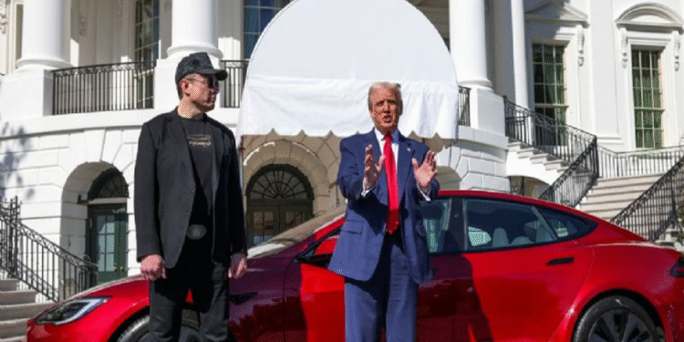 «Trump reconoce y agradece las disculpas de Musk», dice la vocera de la Casa Blanca