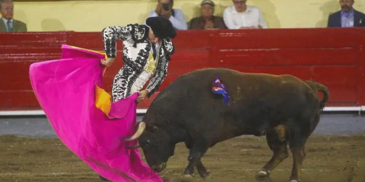 Inviable realizar ‘corridas sin sangre’ en la CDMX: Plaza de Toros México