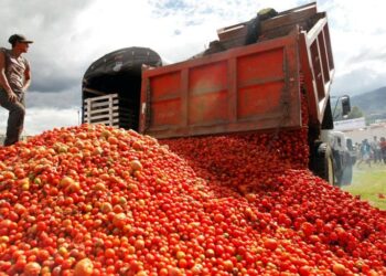 México tiene hasta el 15 de julio para evitar arancel del 20.91% al jitomate mexicano en EE. UU.