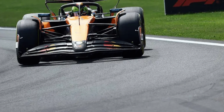 Borrador automático