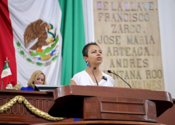El retiro de las estatuas de Fidel Castro y el Che Guevara fue en respuesta a petición ciudadana: Liz Salgado