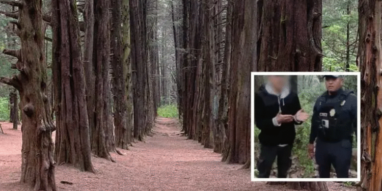 Encuentran sano y salvo a menor extraviado en el bosque El Ocotal, Cuajimalpa