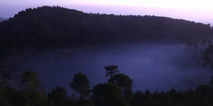 Dos meses sin reportes de tala clandestina en Topilejo, informa Sedema