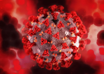 Confirman 12 muertes por sarampión en México, según SSA: “El brote está limitado a Chihuahua”