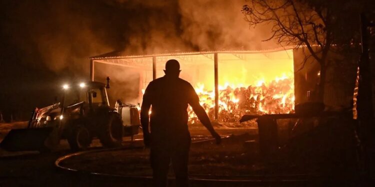 Tres nuevos incendios forestales en Grecia obligan a evacuar a unas 1.300 personas