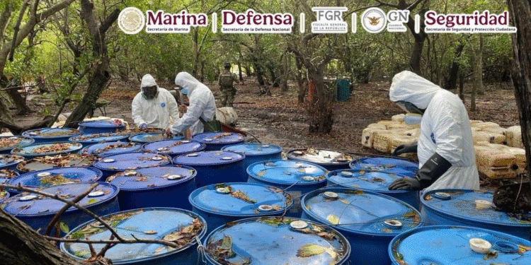 Aseguran 12.8 toneladas de metanfetamina en Nayarit; desmantelan narcolaboratorio