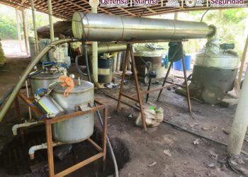 Harfuch confirma megadecomiso de 6 toneladas de drogas en Chiapas y Guerrero