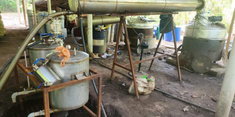 Harfuch confirma megadecomiso de 6 toneladas de drogas en Chiapas y Guerrero