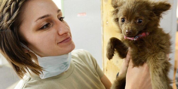 Más de 50 mil Médicos Veterinarios en México cuidan la salud animal y promueven el bienestar de las personas
