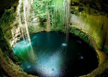 Cenotes sagrados de Yucatán: naturaleza viva de un legado maya