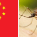 Otro virus se propaga por China: más de 7000 contagios