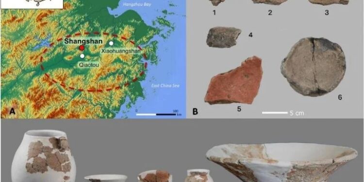 Por sabor, salud y economía, la cerveza de arroz podría regresar a los grandes mercados