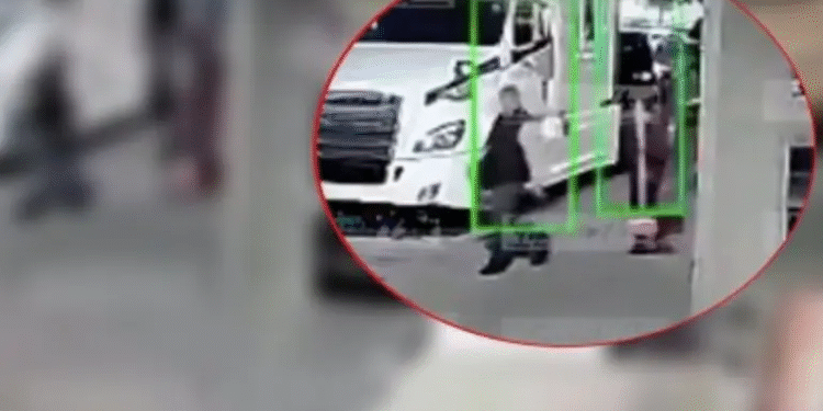 Borrador automático