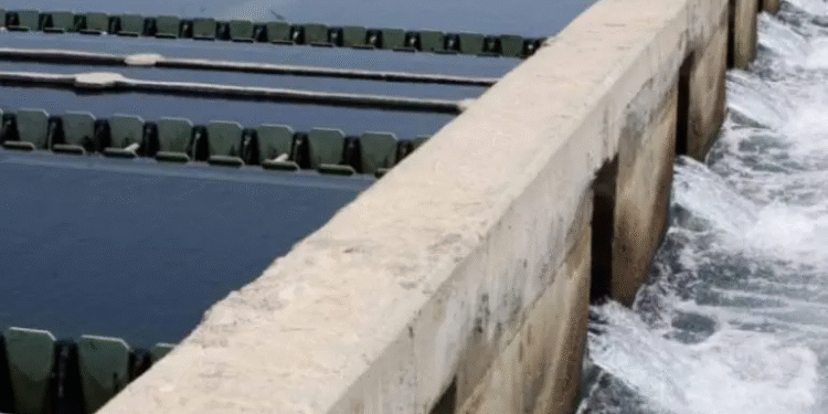 Lluvias aumentan almacenamiento del Cutzamala; se garantiza agua para todo el año