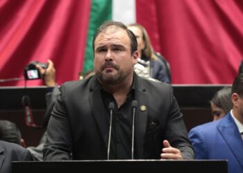 Impulsan reforma para aumentar sanciones penales contra la tala ilegal